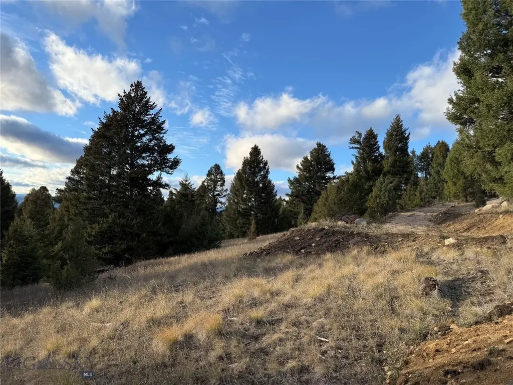 Lot 3 Scranton Lode Philipsburg MT 59858