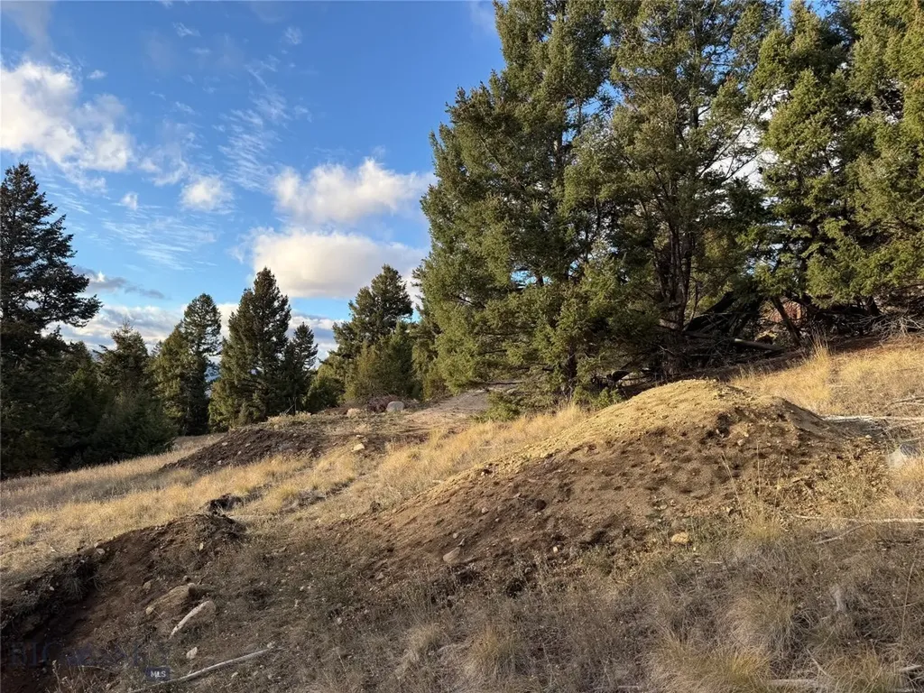 Lot 3 Scranton Lode Philipsburg MT 59858