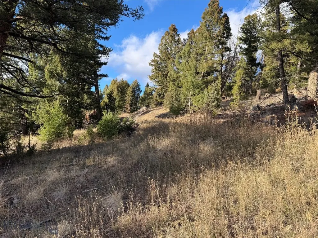 Lot 3 Scranton Lode Philipsburg MT 59858