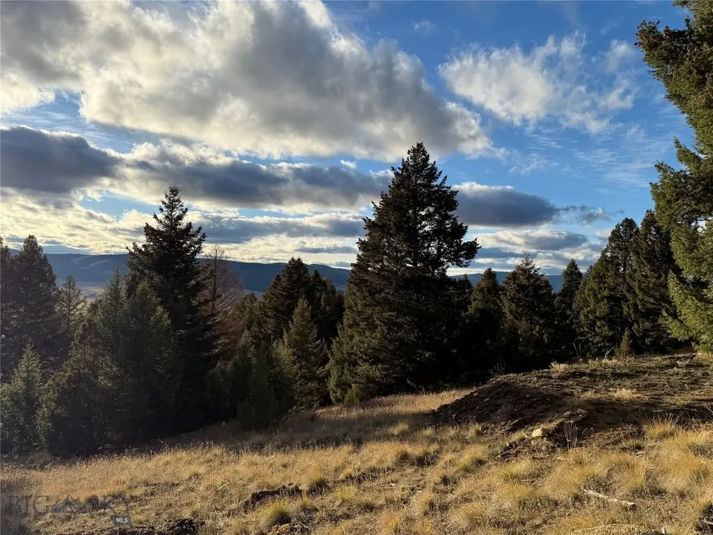 Lot 3 Scranton Lode Philipsburg MT 59858