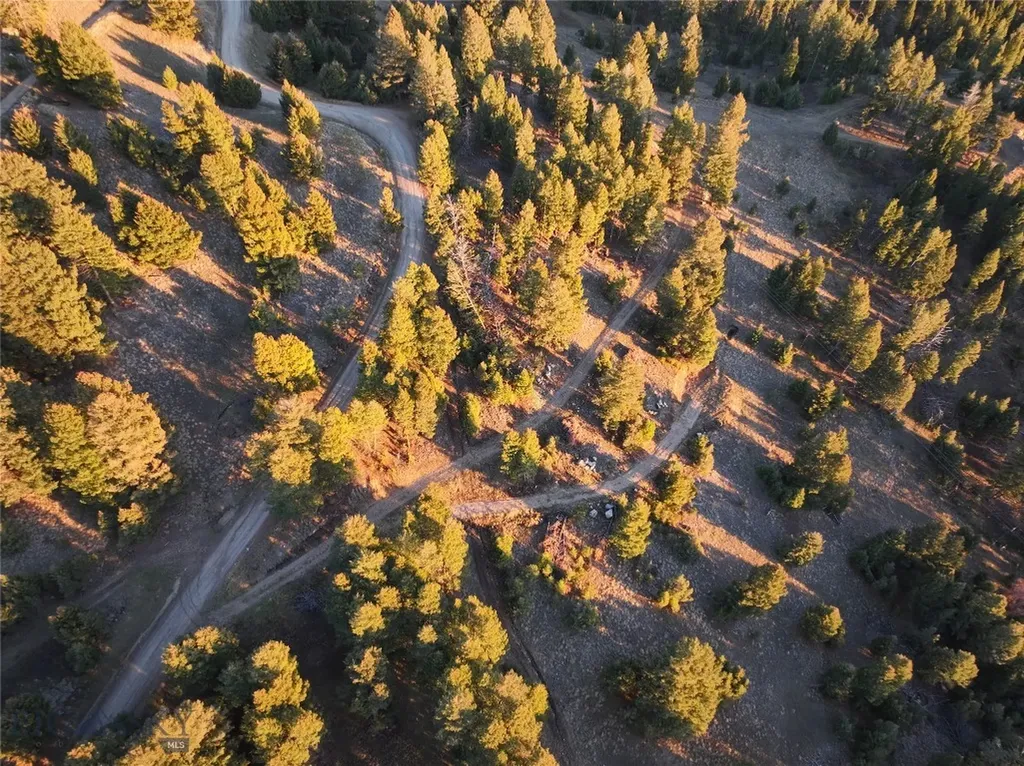 Lot 3 Scranton Lode Philipsburg MT 59858
