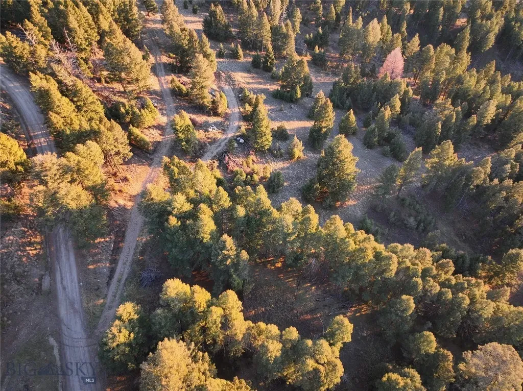 Lot 3 Scranton Lode Philipsburg MT 59858