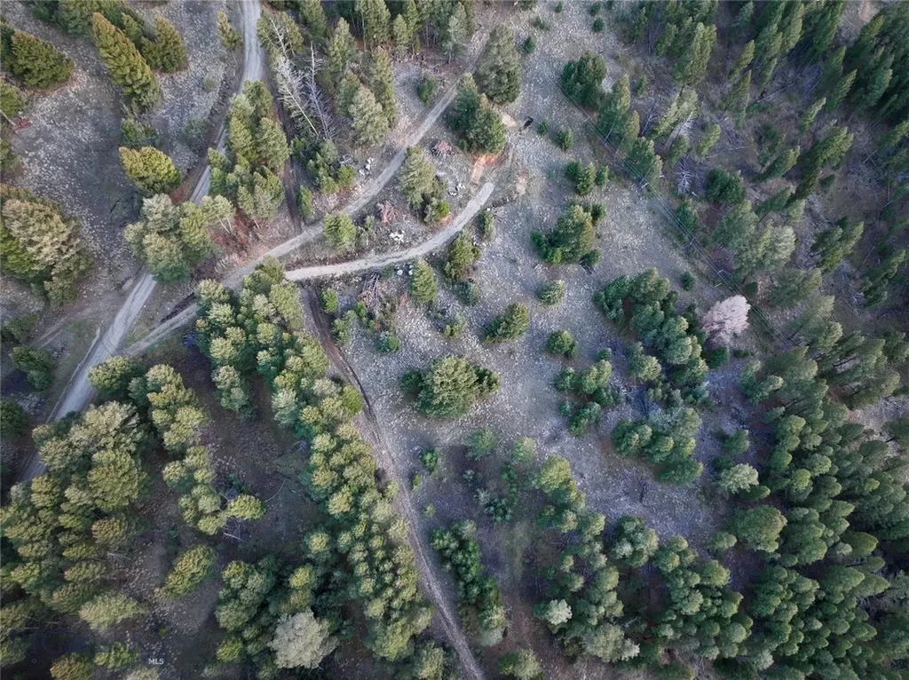 Lot 3 Scranton Lode Philipsburg MT 59858