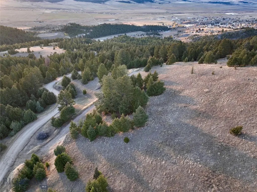 Lot 1 Scranton Lode Philipsburg MT 59858