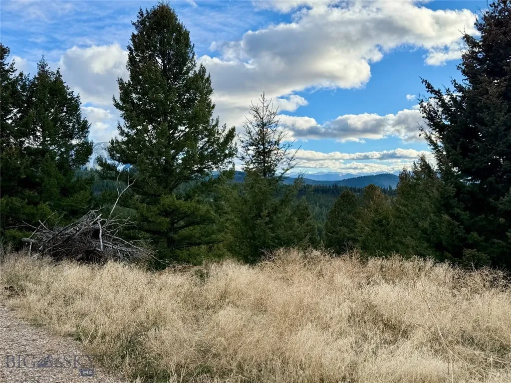 Lot 1 Scranton Lode Philipsburg MT 59858