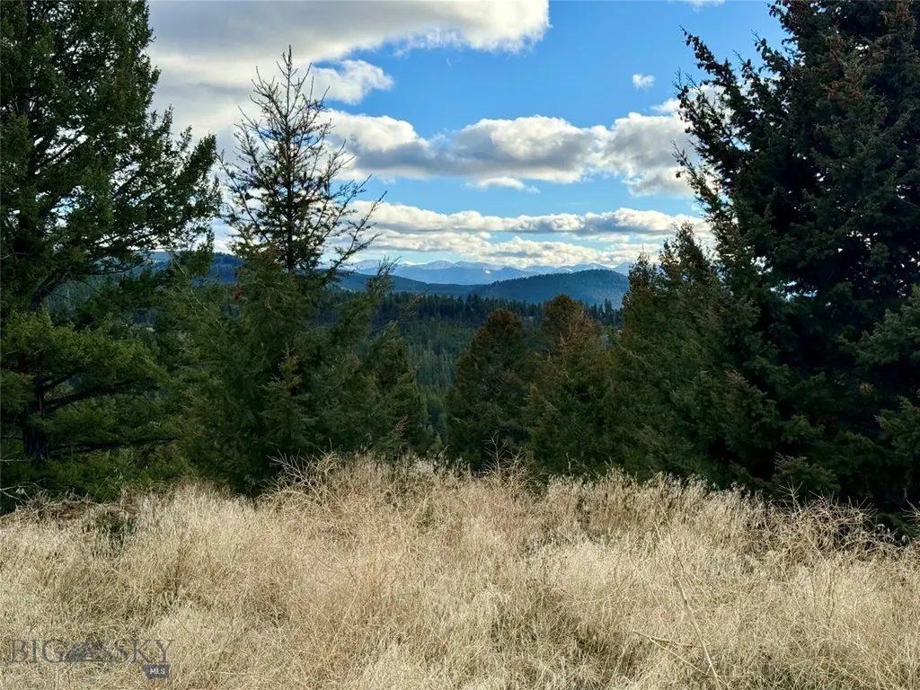 Lot 1 Scranton Lode Philipsburg MT 59858
