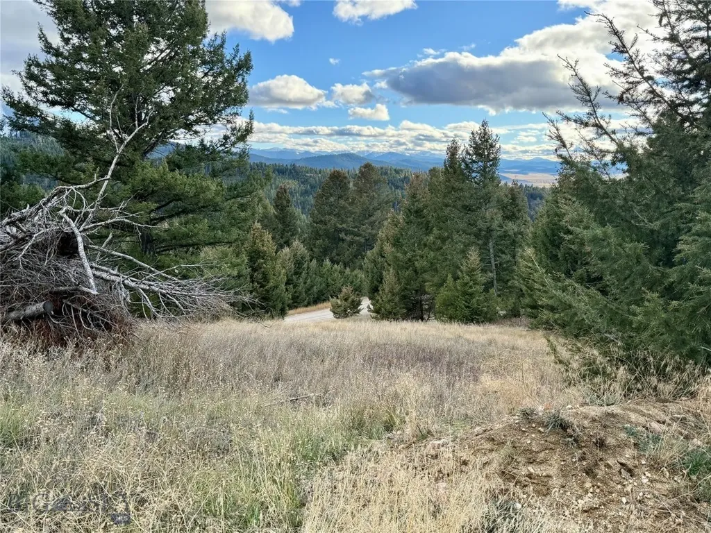 Lot 1 Scranton Lode Philipsburg MT 59858