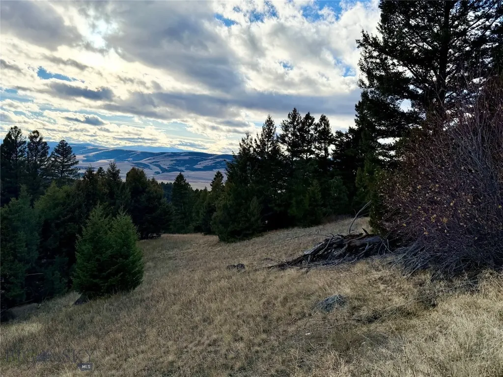Lot 1 Scranton Lode Philipsburg MT 59858