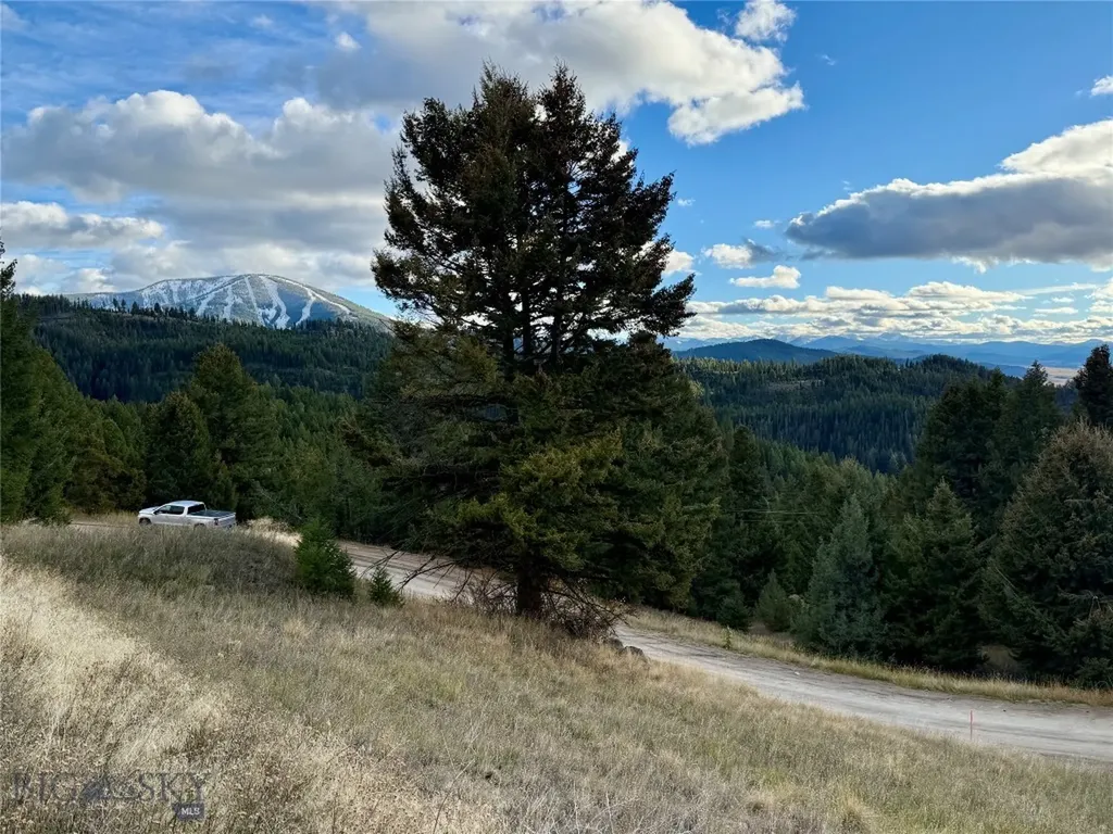 Lot 1 Scranton Lode Philipsburg MT 59858