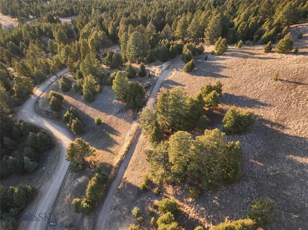 Lot 1 Scranton Lode Philipsburg MT 59858