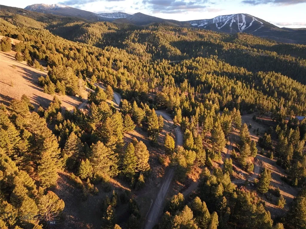 Lot 1 Scranton Lode Philipsburg MT 59858