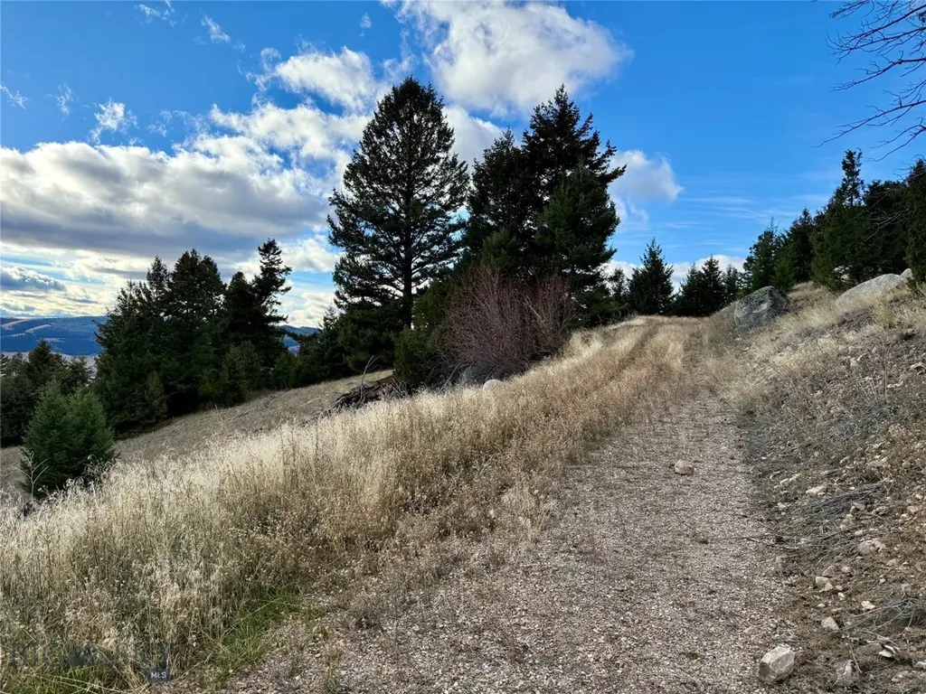 Lot 1 Scranton Lode Philipsburg MT 59858