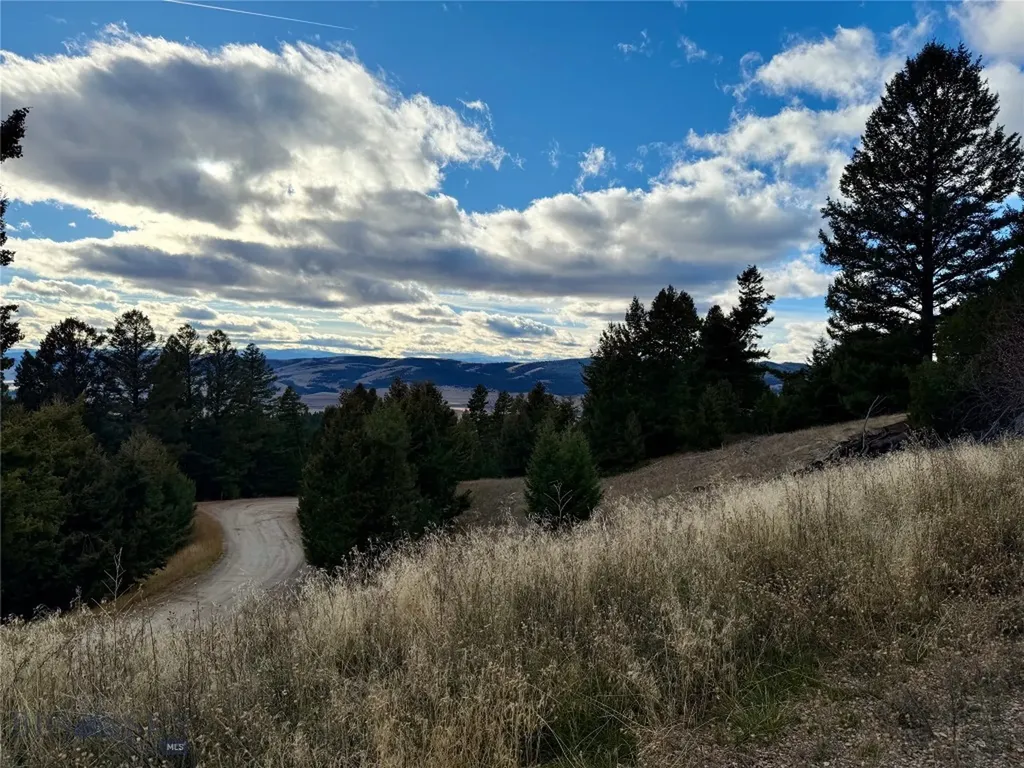 Lot 1 Scranton Lode Philipsburg MT 59858