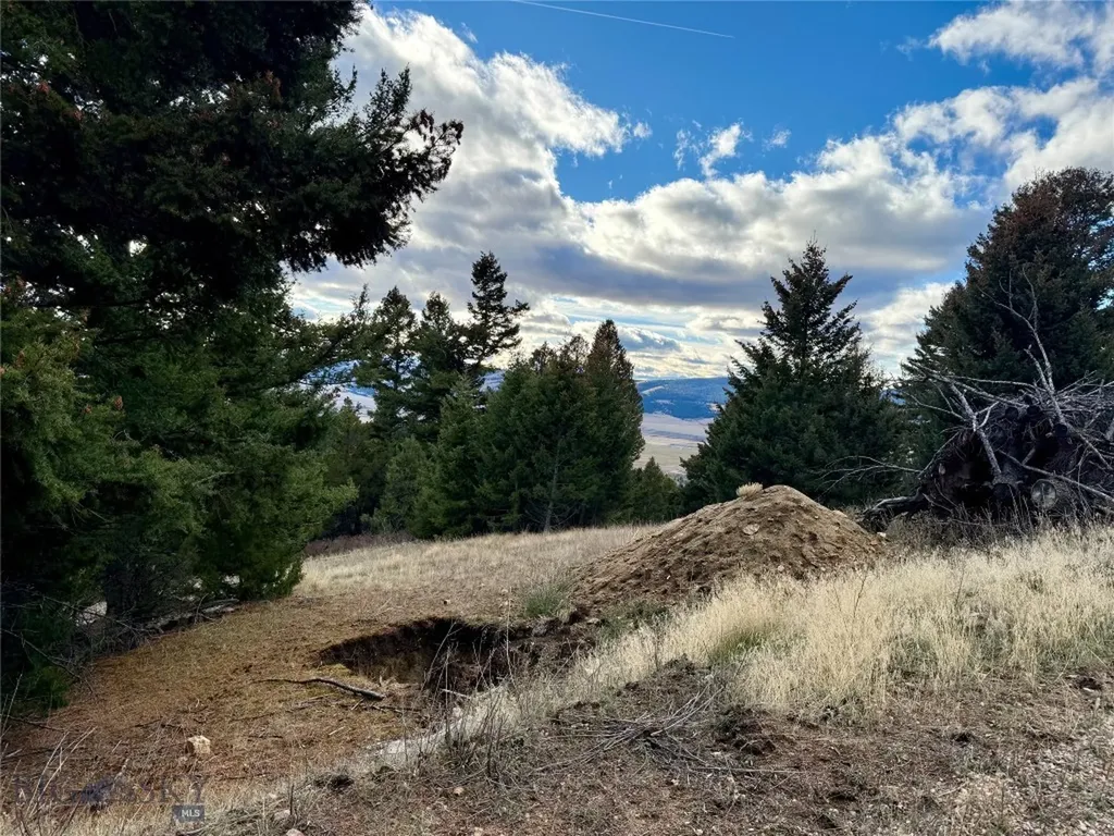 Lot 1 Scranton Lode Philipsburg MT 59858