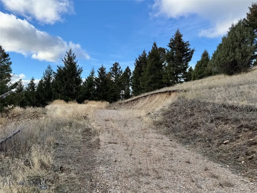 Lot 1 Scranton Lode Philipsburg MT 59858