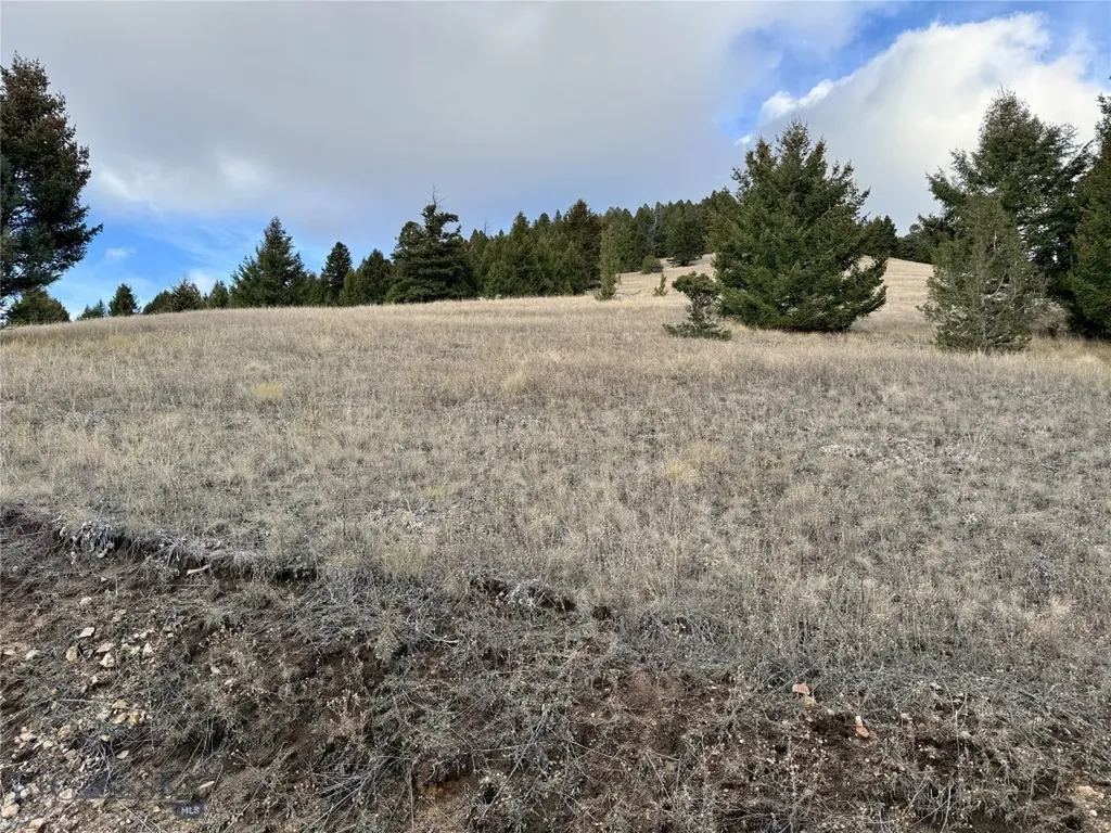 Lot 1 Scranton Lode Philipsburg MT 59858