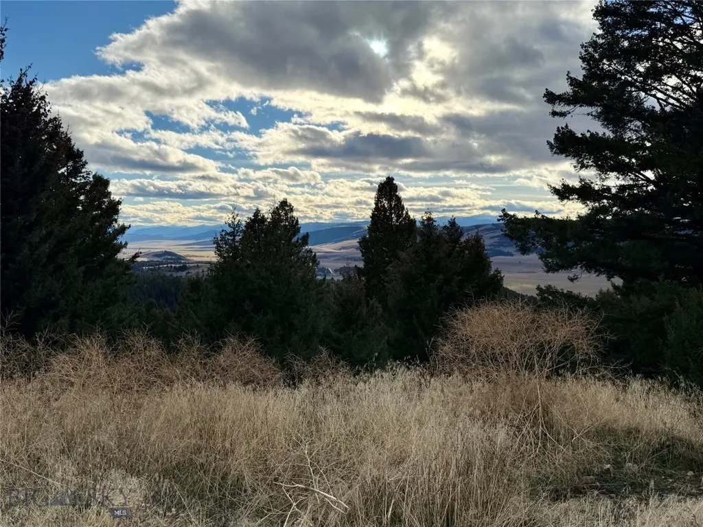 Lot 1 Scranton Lode Philipsburg MT 59858