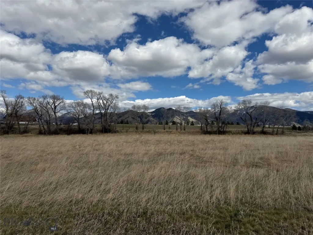 5774 Wavy Leaf Way Bozeman MT 59718