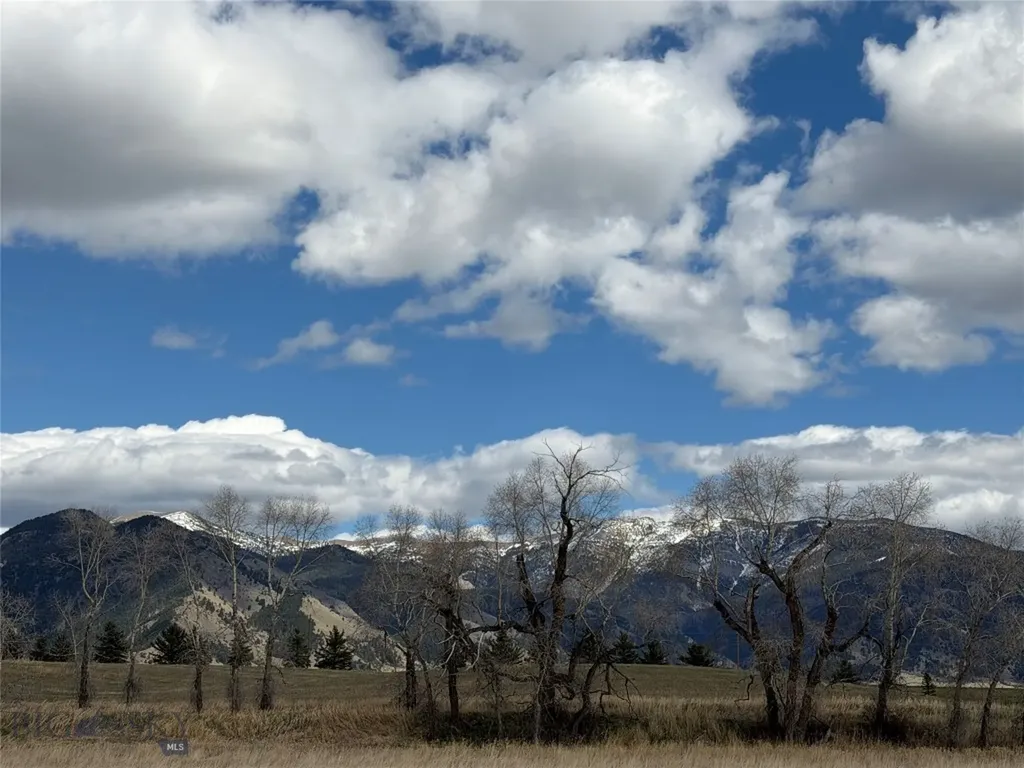 5774 Wavy Leaf Way Bozeman MT 59718