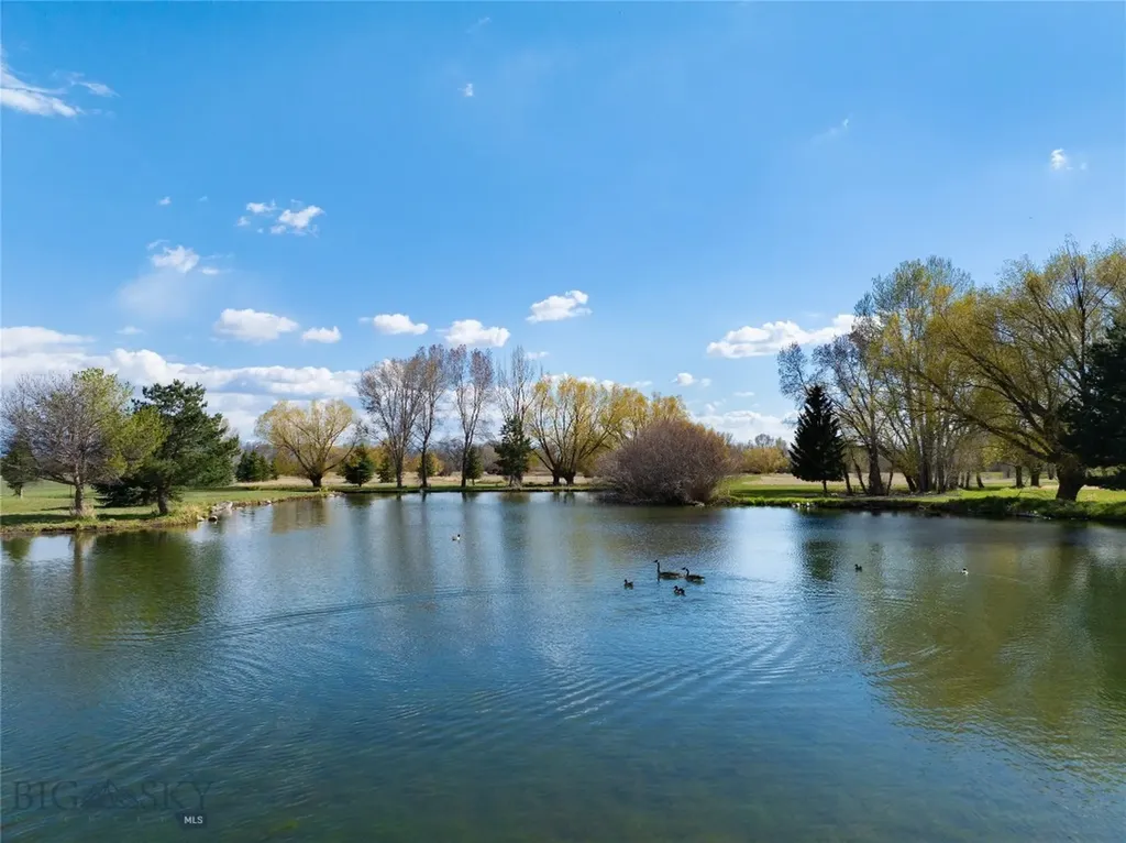 5774 Wavy Leaf Way Bozeman MT 59718