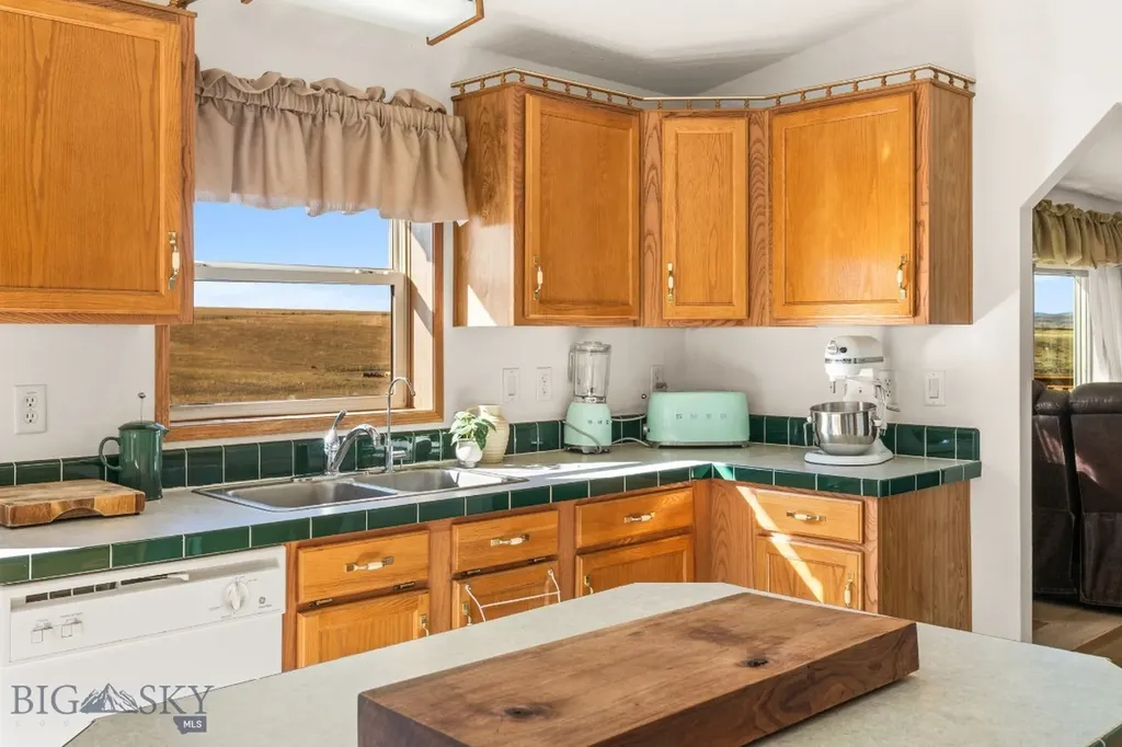 255 Tory Drive Dillon MT 59725
