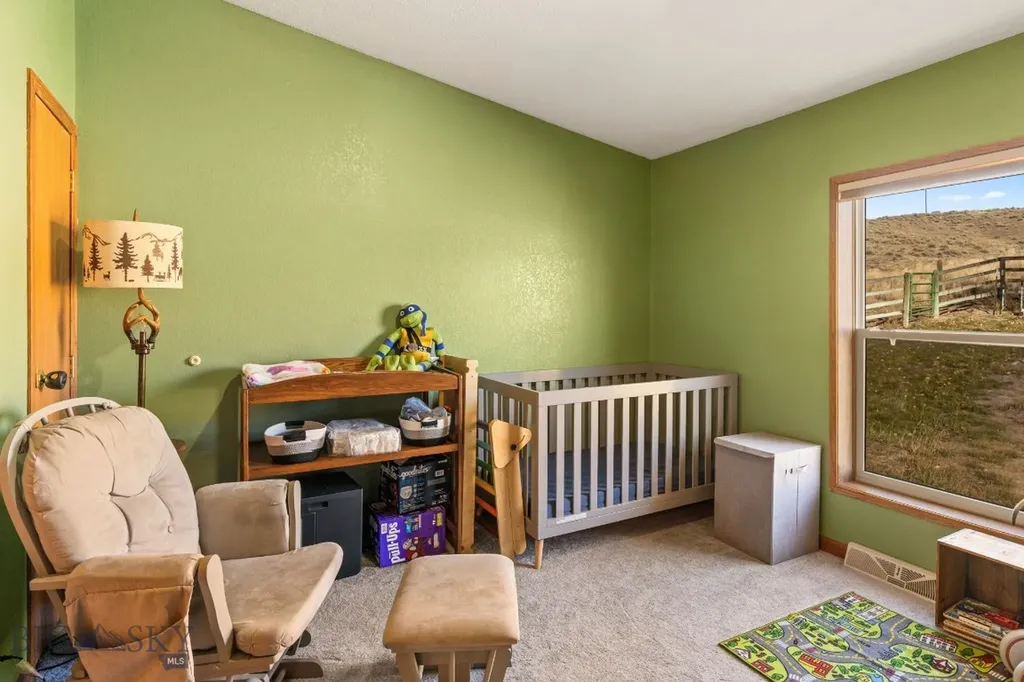 255 Tory Drive Dillon MT 59725