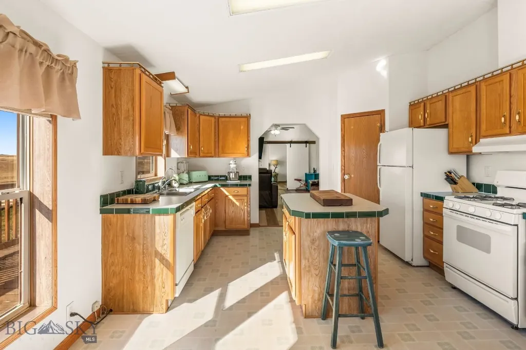 255 Tory Drive Dillon MT 59725