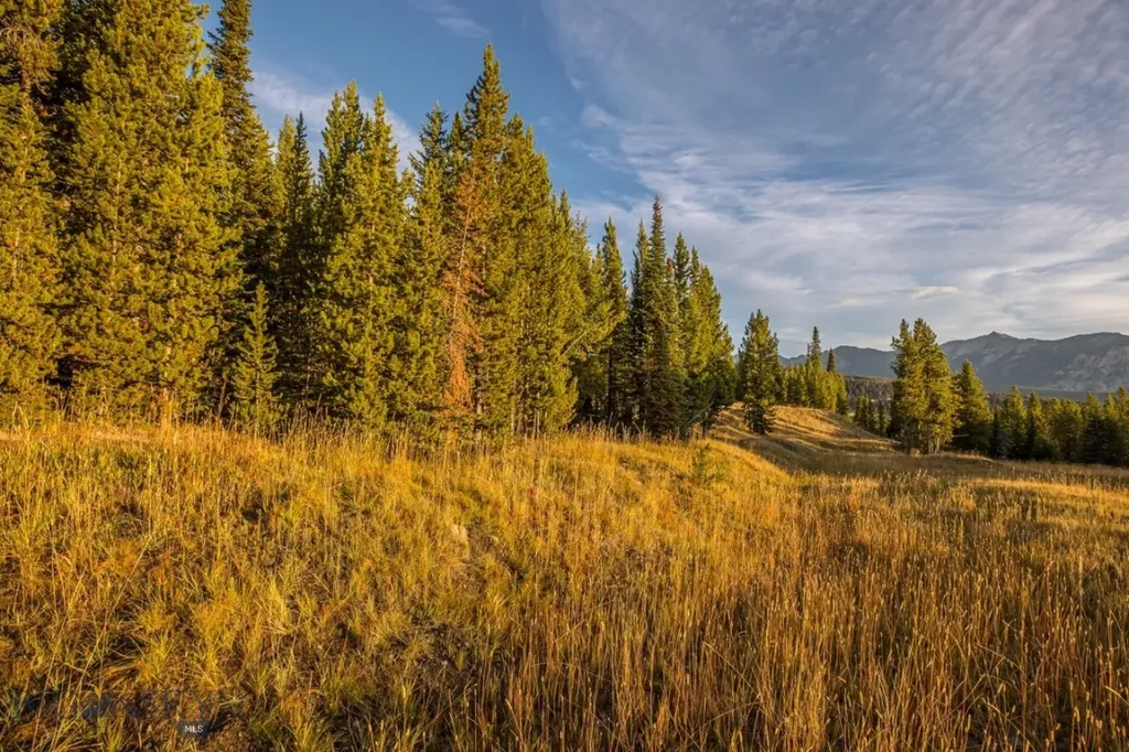 Tbd Eagle View, Lot 76 Trail Big Sky MT 59716