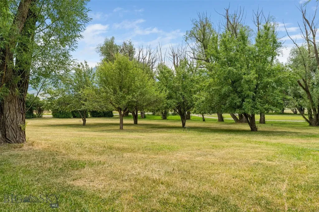 84 Canyon View Drive Livingston MT 59047