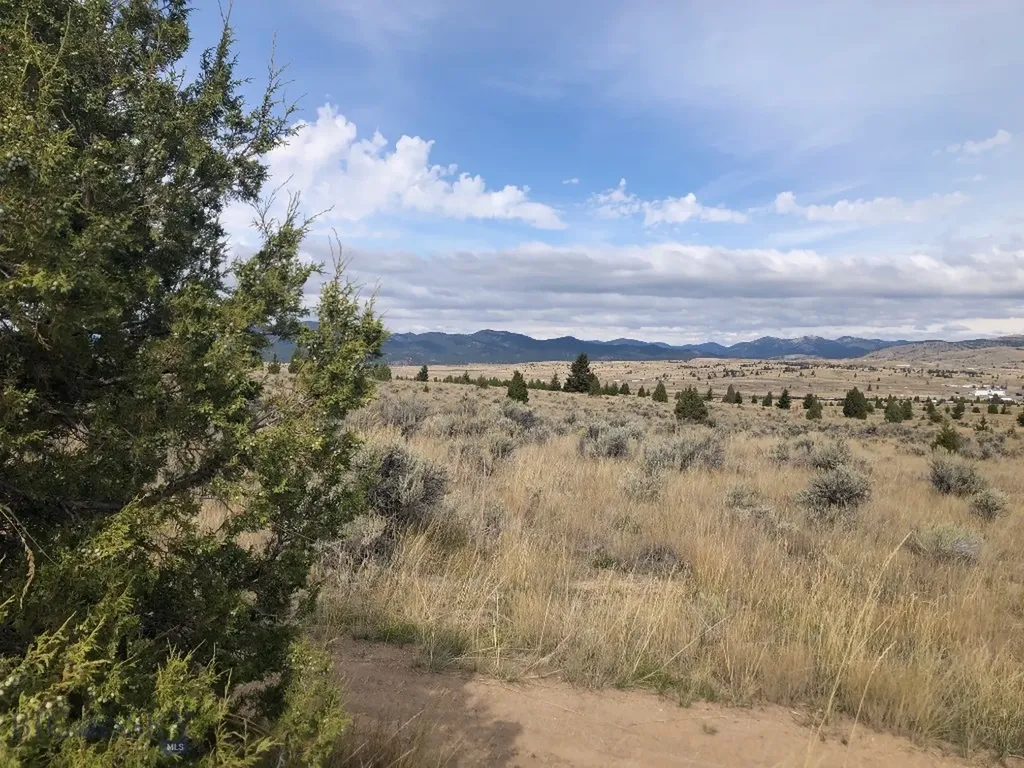 Tbd Indian Paint Brush Road Butte MT 59701