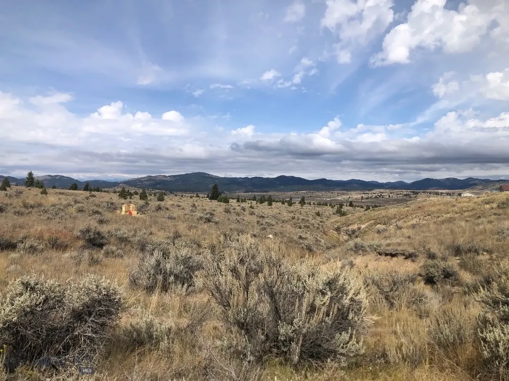 Tbd Indian Paint Brush Road Butte MT 59701