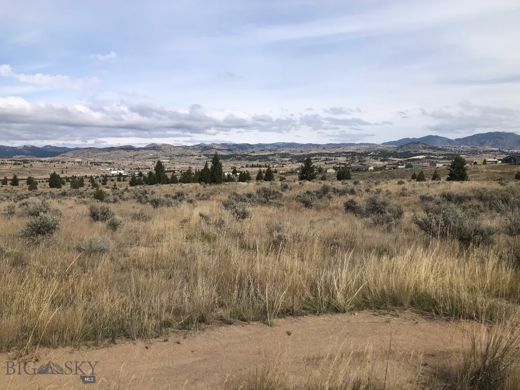 Tbd Indian Paint Brush Road Butte MT 59701