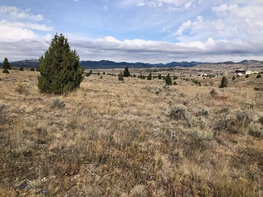 Tbd Indian Paint Brush Road Butte MT 59701