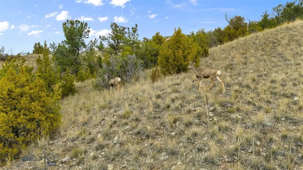 136 Broken Creek Three Forks MT 59752