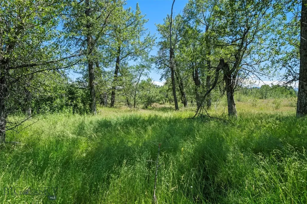 Tbd Elk Lane Bozeman MT 59718