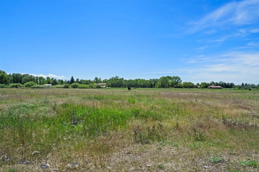 Tbd Elk Lane Bozeman MT 59718