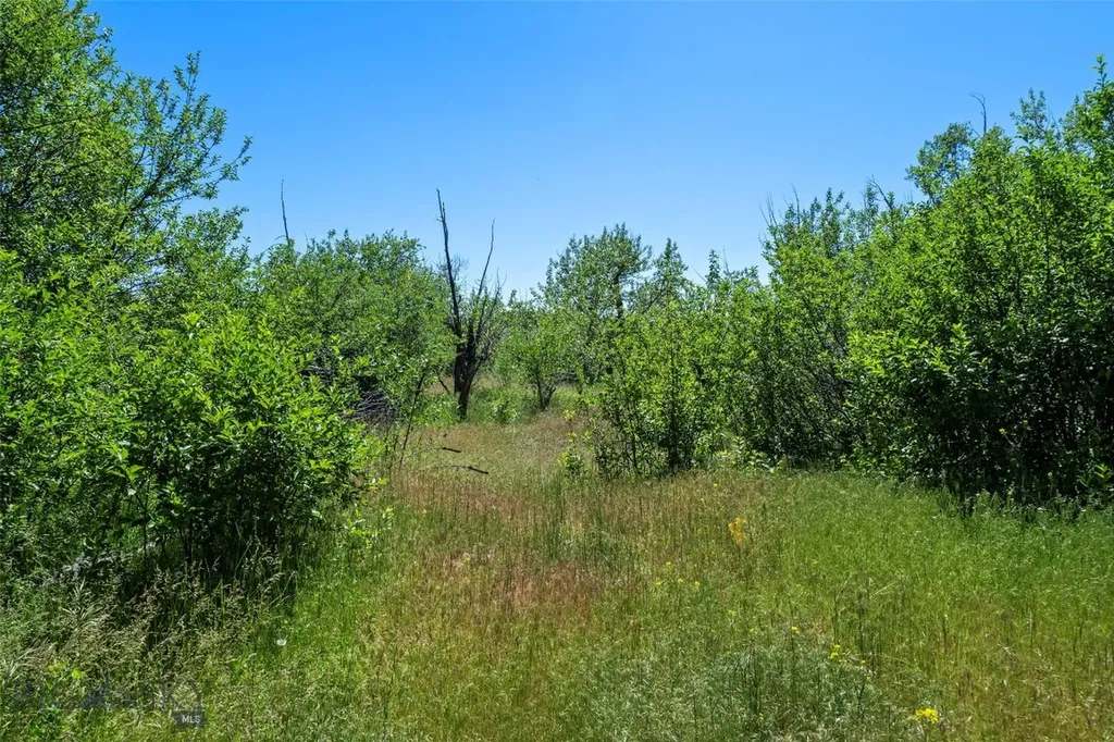Tbd Elk Lane Bozeman MT 59718