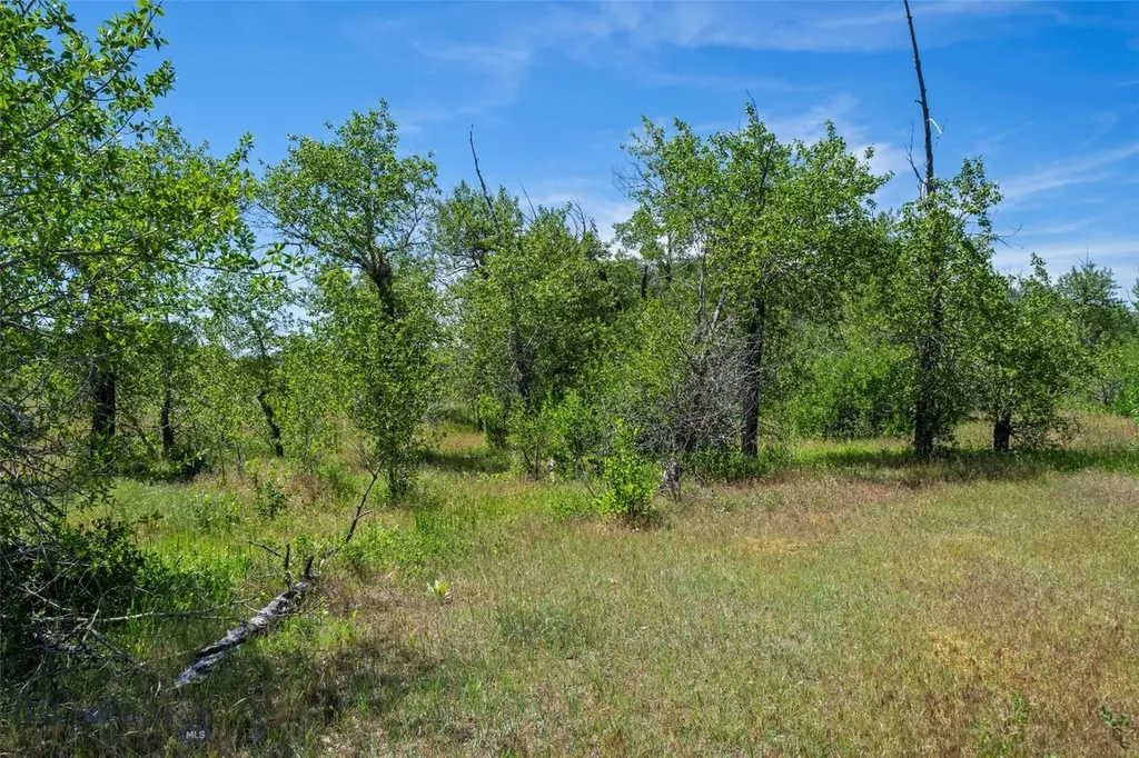 Tbd Elk Lane Bozeman MT 59718