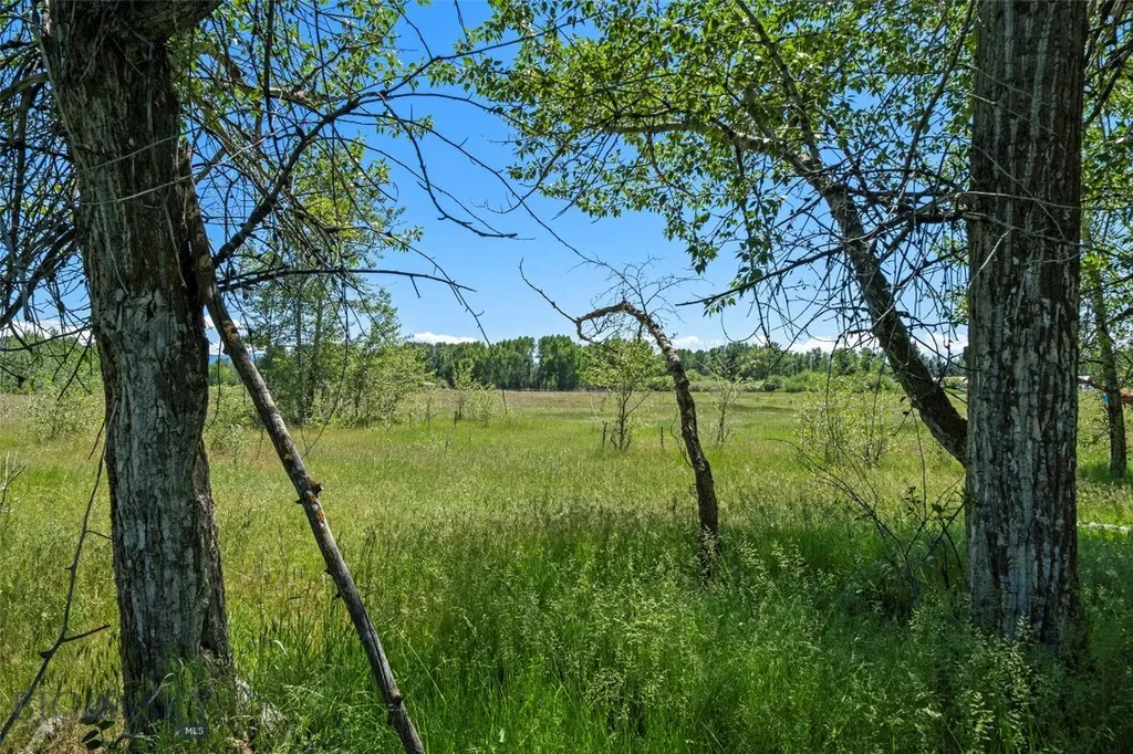 Tbd Elk Lane Bozeman MT 59718