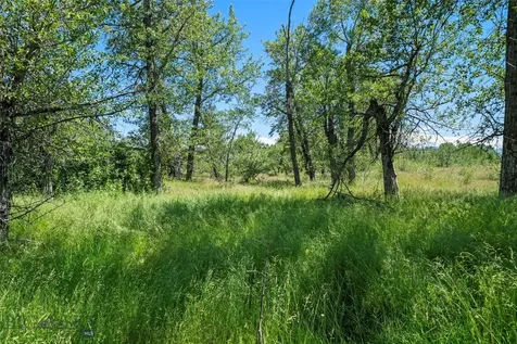 Tbd Elk Lane Bozeman MT 59718