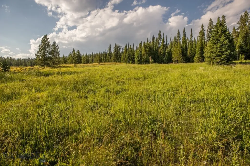 Tbd Washaki Lot 23 Road Big Sky MT 59716