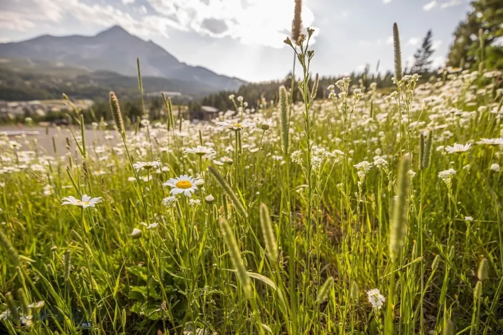 Tbd Washaki Lot 23 Road Big Sky MT 59716