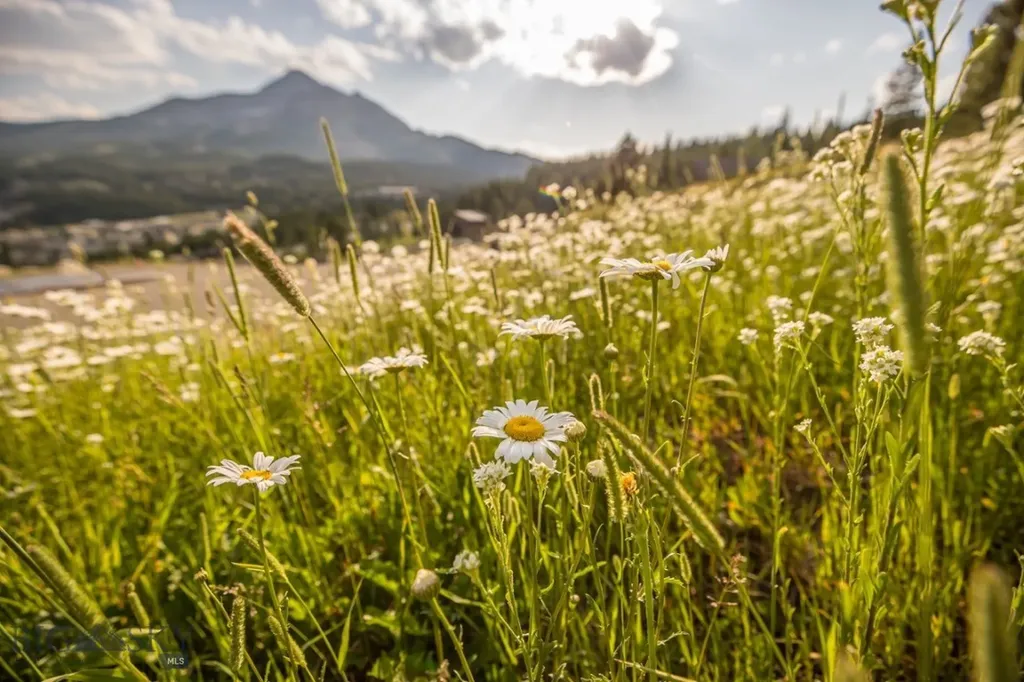 Tbd Washaki Lot 23 Road Big Sky MT 59716
