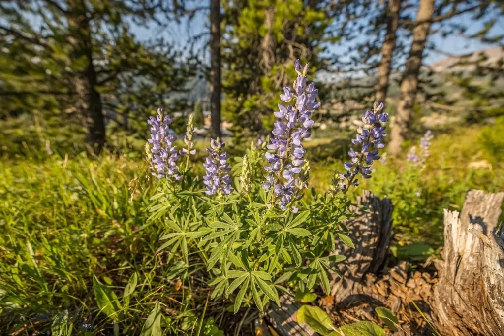 Tbd Washaki Lot 23 Road Big Sky MT 59716