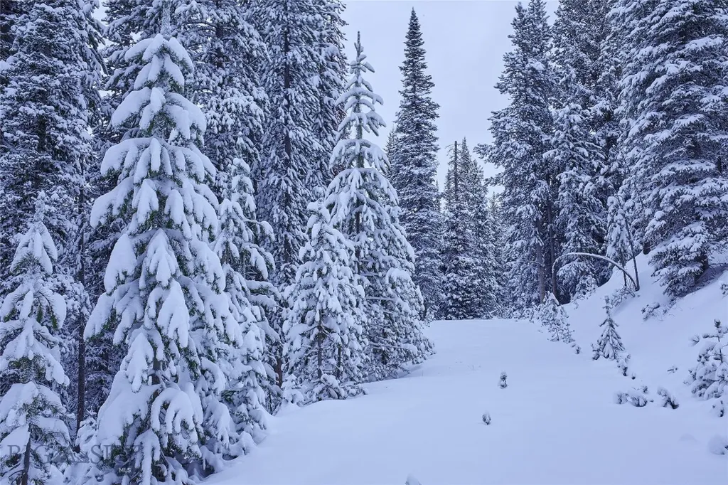 Tbd Ulery's Lakes Road - Lot 12a + 13a Big Sky MT 59716