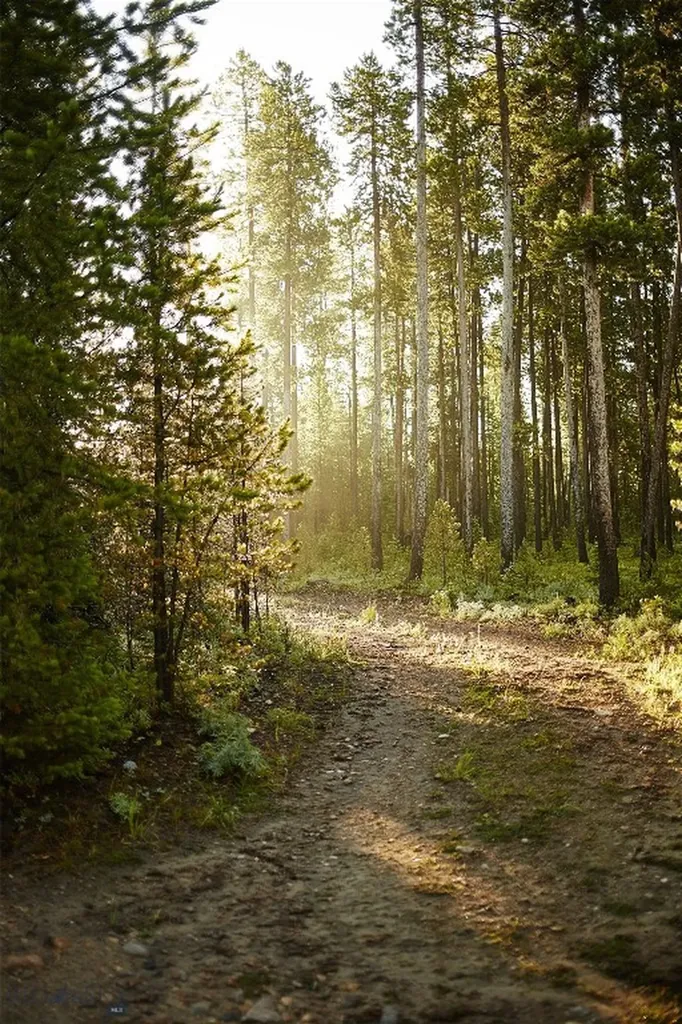 Tbd Ulery's Lakes Road - Lot 12a + 13a Big Sky MT 59716