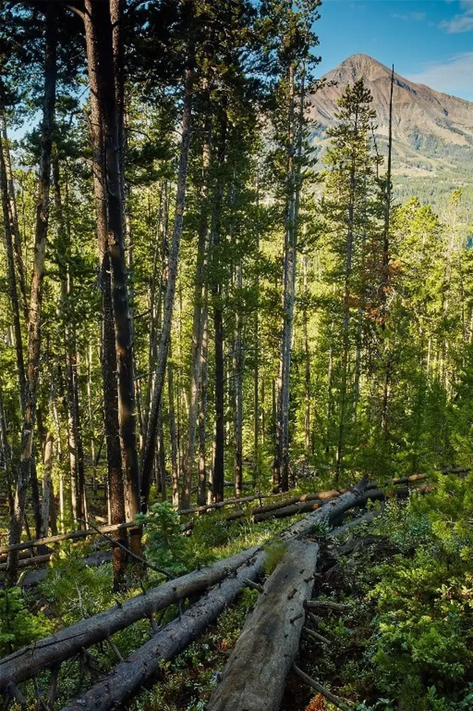 Tbd Ulery's Lakes Road - Lot 12a + 13a Big Sky MT 59716