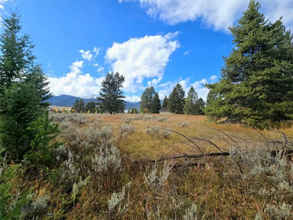 170 Loop Lane West Yellowstone MT 59758