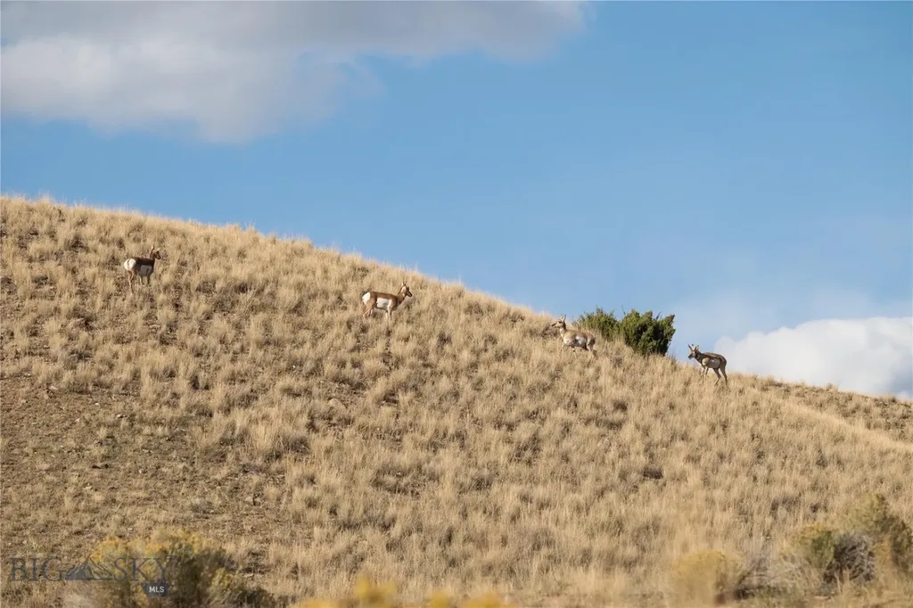 1120 Yellowstone Trail Deer Lodge MT 59722