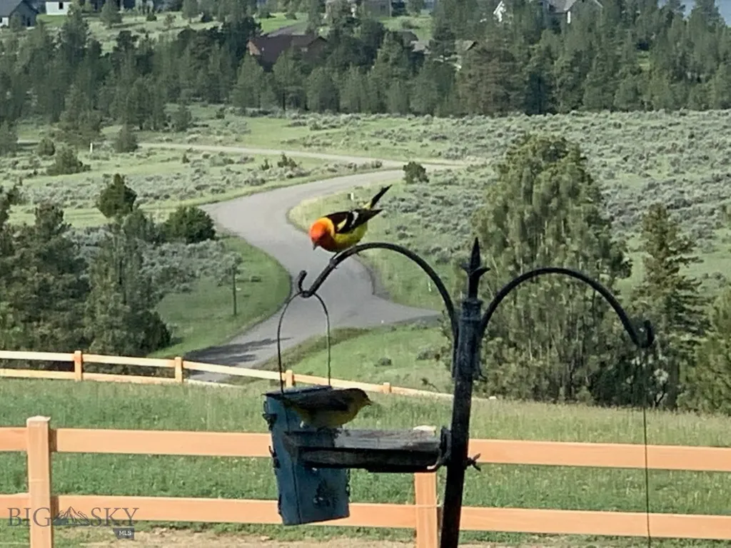 4220 Sunset Ridge Drive Helena MT 59602